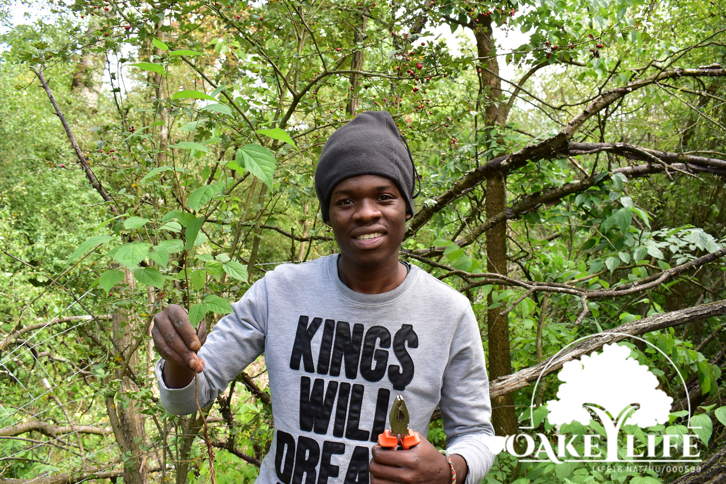 Önkéntes gyakornok a Peszéri-erdőben, OAKEYLIFE program