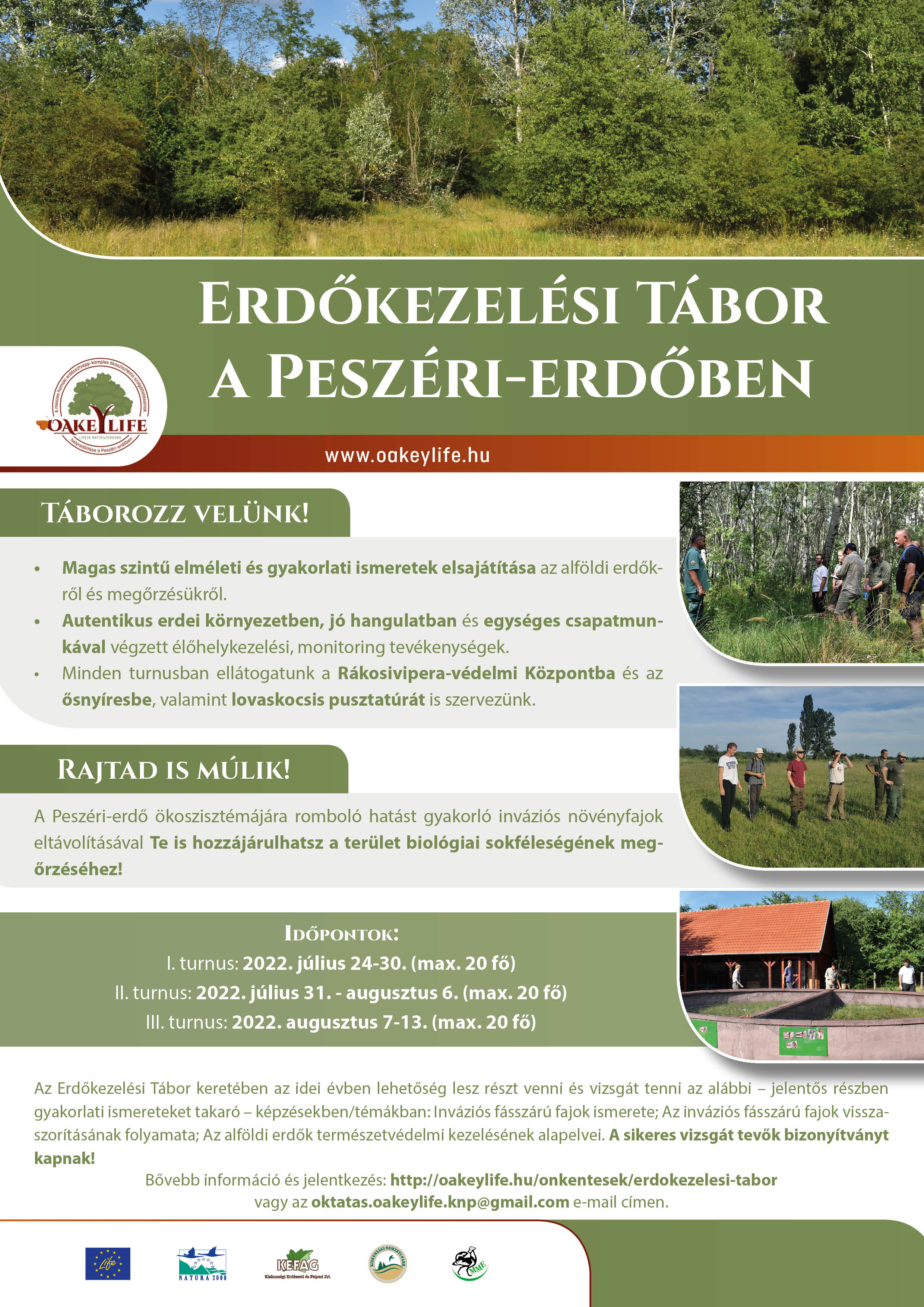 Erdőkezelési tábor a Peszéri-erdőben, OAKEYLIFE program, 2022